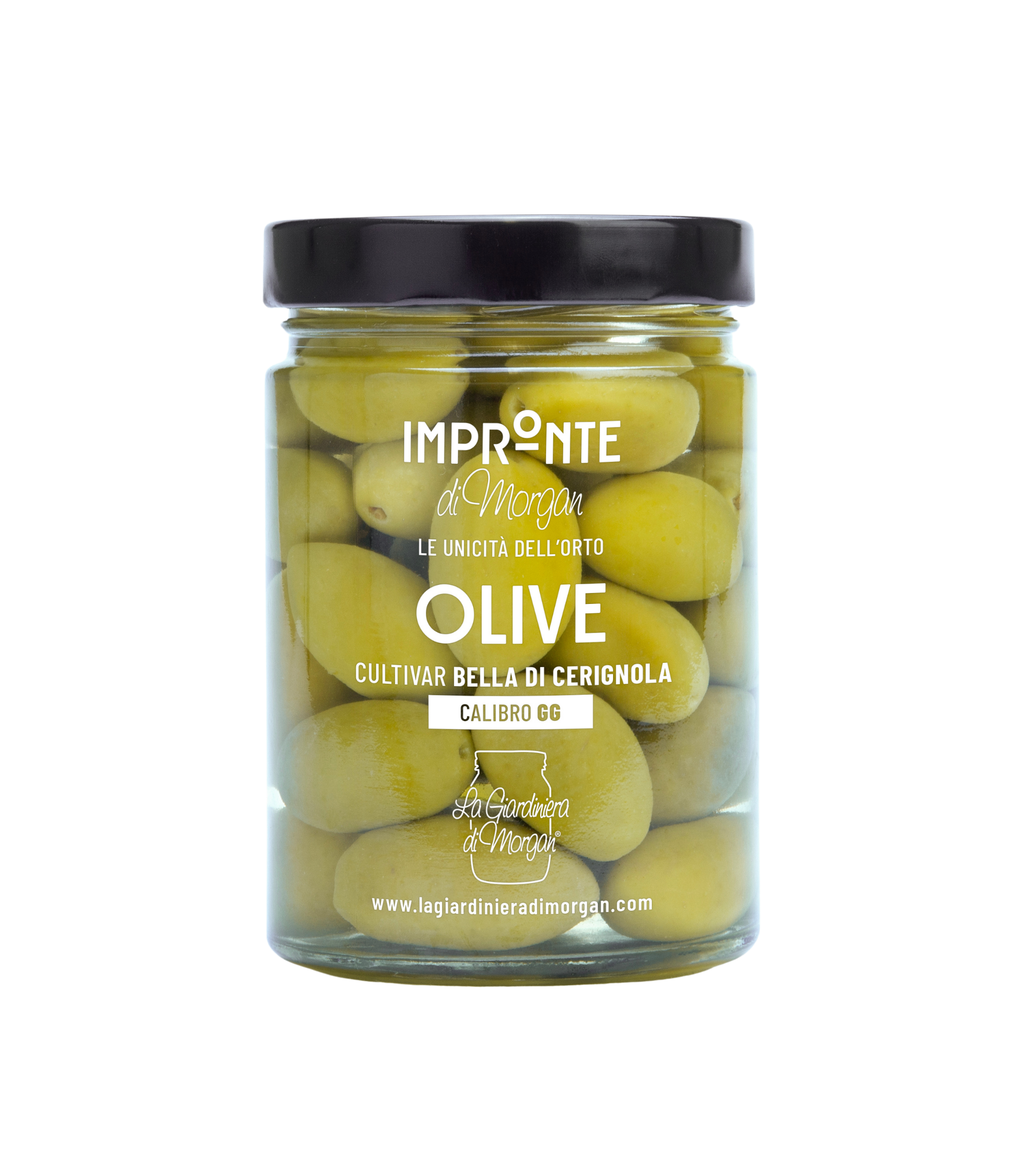 Olive GG